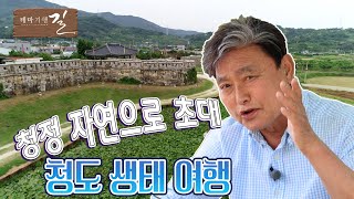 청정 자연으로의 초대, 청도 생태여행