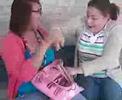 cat fight