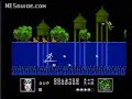 www.nesguide.com