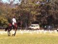 videos de Samford Ode (first comp with the fitz)