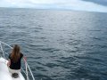 videos de Trying to film dolphins, but only got Rachael