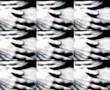 Cuadro 10 , Videodanza experimental fragmento .