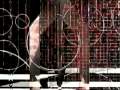 Front Line Assembly - Plasticity (1996) Promo Clip