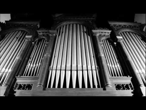 Walcker;restauration - Enregistrement réalisé en mai 2006 à l'église Ste-Julienne de Namur (Salzinnes), lors du concert de l'Union Wallone des Organistes. François-Xavier Grandjean...