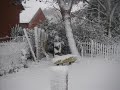winter impressions of artstudio satyricon