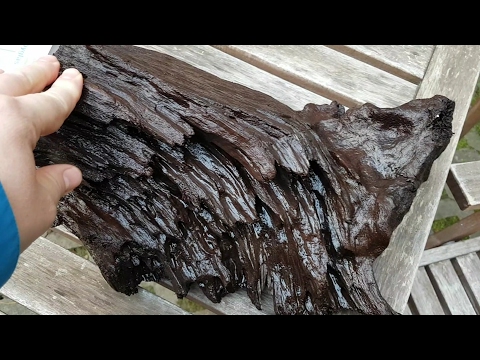 Holz, Wurzeln im Aquarium wässern und einbauen.