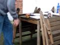 A day with surstr�mming / rutten fish  Swedish delicacy