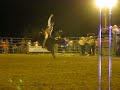 colt-deberry-carousel-farms-701.html
