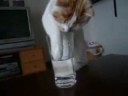 videos de Glass of Water