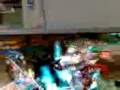 videos de un dia al pedo estilo juan