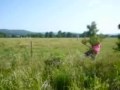 Clark Ditchin\ Clark Ditchin\