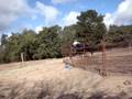 stormy natural horsemanship lesson 1 video 6