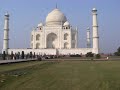 Two cows which work in Taj Mahal