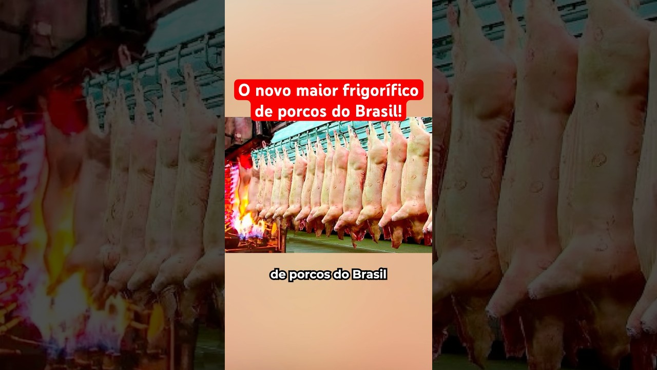 O Novo Maior Frigorífico De Porcos Do Brasil