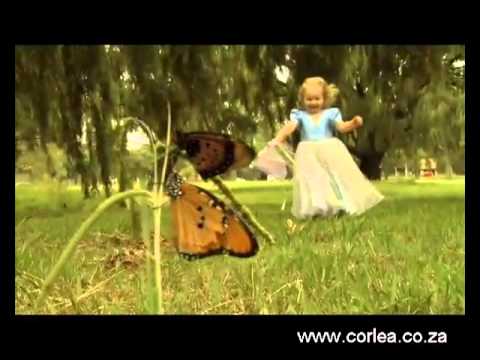 Corlea Botha   SONVANGER OFFICIAL   AMPTELIKE MUSIEK VIDEO