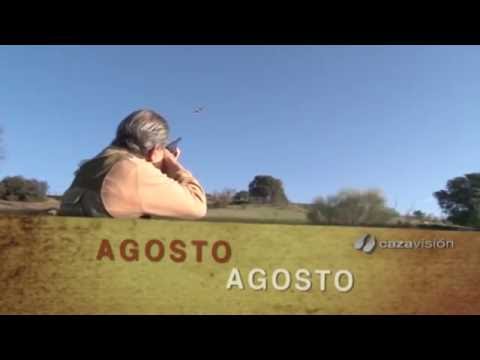 Programaçao Agosto 2016 Programaçao Agosto 2016