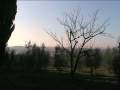 Tuscany in winter (hills of Siena) Tuscany in winter (hills of Siena)