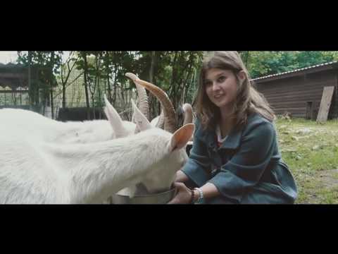 YouTube Трейлер