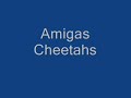AmigasCheetahs