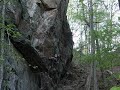 Frisco Kid, 8a