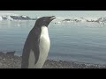 Antarctica in 5 minutes Antarctica in 5 minutes