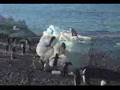 Antarctica in 5 minutes - YouTube