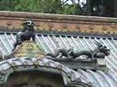 眠りネコ動画