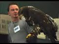Puget Sound Bird Fest, May 2007 Puget Sound Bird Fest, May 2007