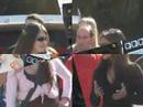 parati e equipe pankad�o d indaial em sao ludgero SC SL002