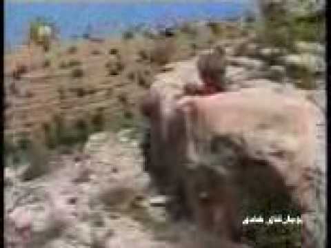 See video