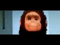 Monkey Star Wars