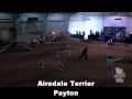 2012 AKC Natls Payton... View Video