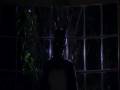 donnie darko 91