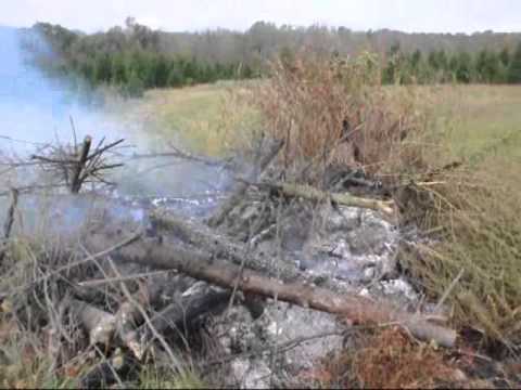 how to sink brush piles