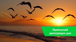 Идеальный распорядок дня