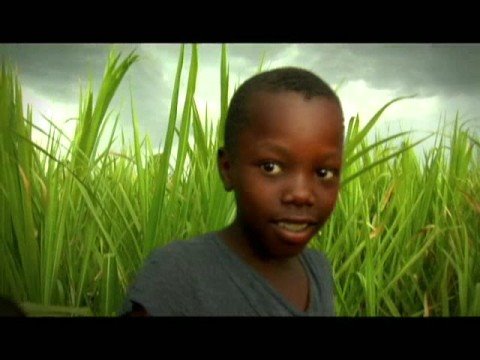 how to apply to bridge to rwanda