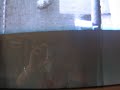 vieja, que miras tu maleducado!