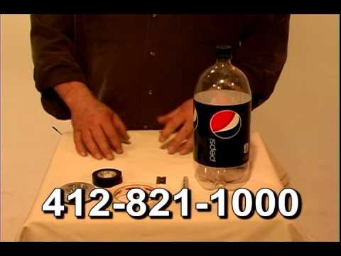 how to eliminate stink bugs