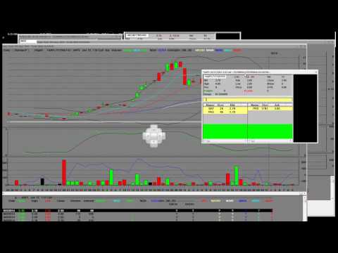 Apple Stock Charts vs Call Options vs Put Options Learn How to Trade