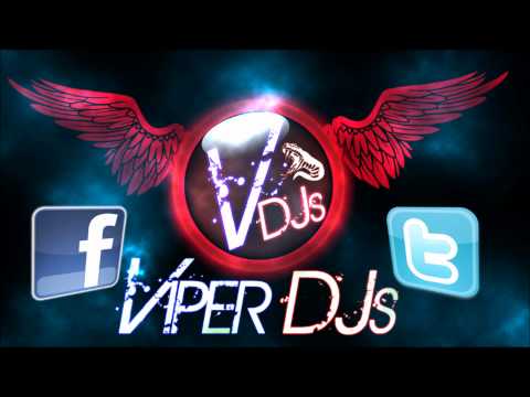 Bhangra Mix/Remix Part 3 2012 Viper DJs