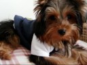 Lupito Skywalker in my book Lupito Skywalker in my book