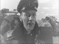 Propaganda wh40k: polska wersja