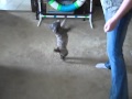 Jc's Amazing Tricks {For zakgeorge21}