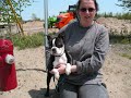 Click here to watch this video Chien Spoocky ...