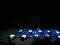 danse plateau des chorégraphes