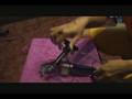The First Destroyer Pedal Review and demo