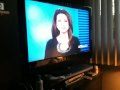 Ebbie reacts to the dogs on TV