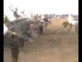 Ain l'arbaa WAHDA 01.11.2008