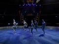 zebras