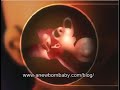 6th Month of Pregnancy